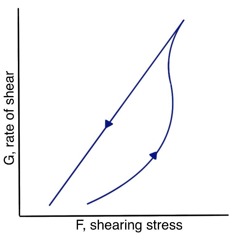 Rheogram of a thixotropic material showing a bulge in the hysteresis loop.