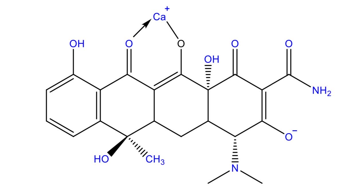 Calcium (Ca2+) tetracycline complex (chelate).